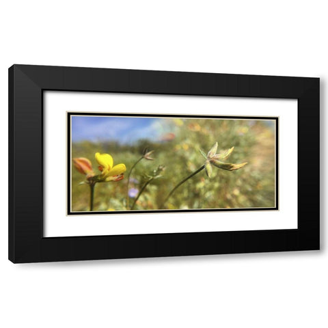 Wildflowers XXXII Black Modern Wood Framed Art Print with Double Matting by Popcorn