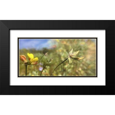 Wildflowers XXXII Black Modern Wood Framed Art Print with Double Matting by Popcorn