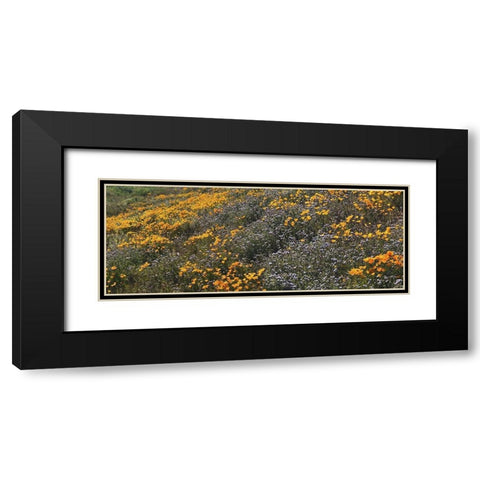 Wildflowers XXVIII Black Modern Wood Framed Art Print with Double Matting by Popcorn