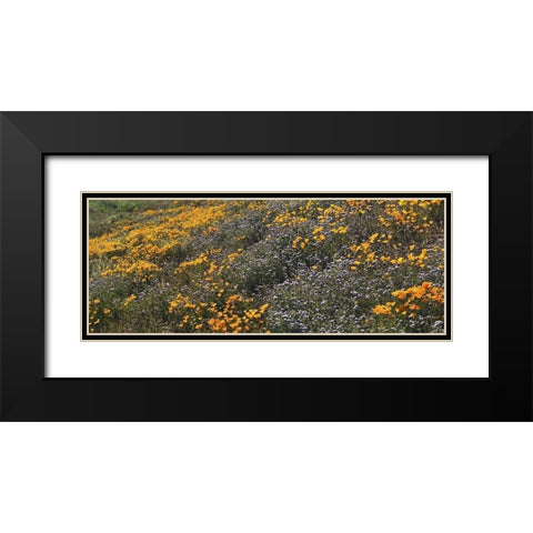 Wildflowers XXVIII Black Modern Wood Framed Art Print with Double Matting by Popcorn