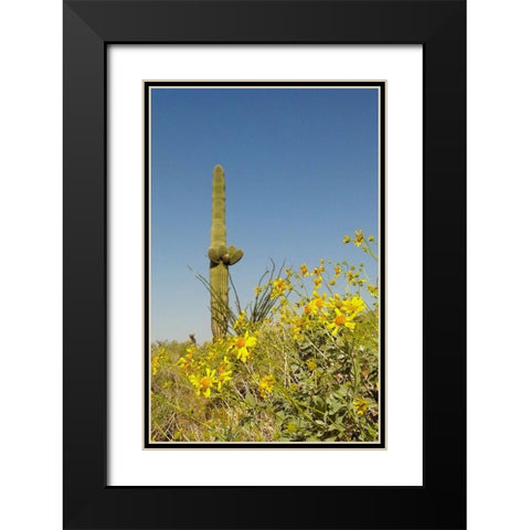 Desert Scape 3 Black Modern Wood Framed Art Print with Double Matting by Popcorn