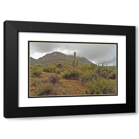 Granite Mountain II Black Modern Wood Framed Art Print with Double Matting by Popcorn