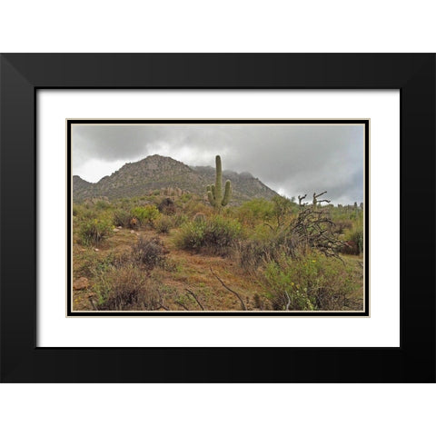 Granite Mountain II Black Modern Wood Framed Art Print with Double Matting by Popcorn
