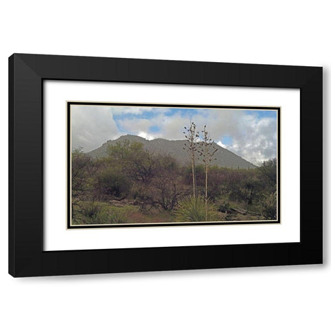 Granite Mountain III Black Modern Wood Framed Art Print with Double Matting by Popcorn