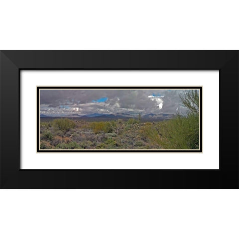 Desert Scape I Black Modern Wood Framed Art Print with Double Matting by Popcorn