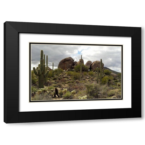 Cathedral Rock Black Modern Wood Framed Art Print with Double Matting by Popcorn