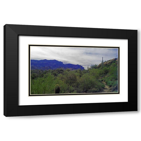 Superstition Mountain I Black Modern Wood Framed Art Print with Double Matting by Popcorn