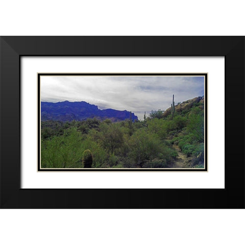 Superstition Mountain I Black Modern Wood Framed Art Print with Double Matting by Popcorn