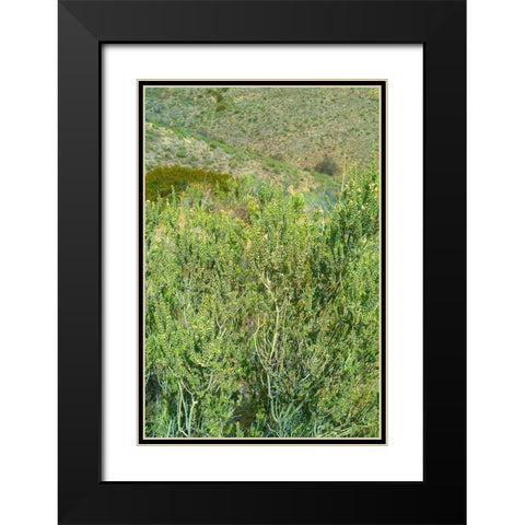 Kartchner Cavern Foothills Black Modern Wood Framed Art Print with Double Matting by Popcorn