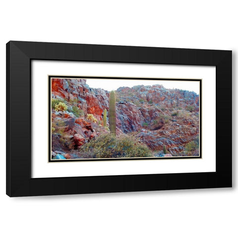 Desert Scape 2 Black Modern Wood Framed Art Print with Double Matting by Popcorn