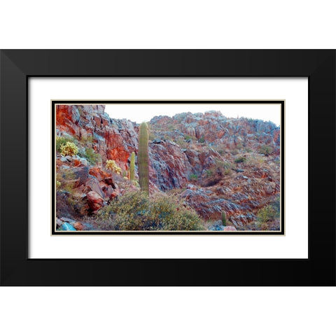 Desert Scape 2 Black Modern Wood Framed Art Print with Double Matting by Popcorn