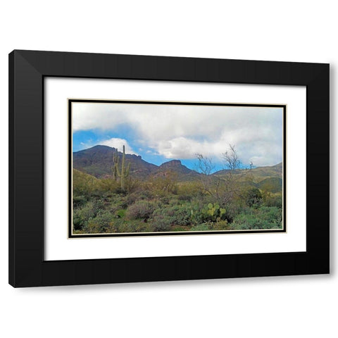 Elephant Mountain Black Modern Wood Framed Art Print with Double Matting by Popcorn