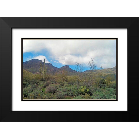 Elephant Mountain Black Modern Wood Framed Art Print with Double Matting by Popcorn