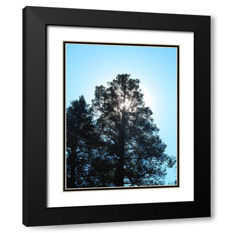 Tree 1 Black Modern Wood Framed Art Print with Double Matting by Popcorn