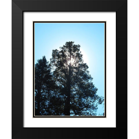 Tree 1 Black Modern Wood Framed Art Print with Double Matting by Popcorn