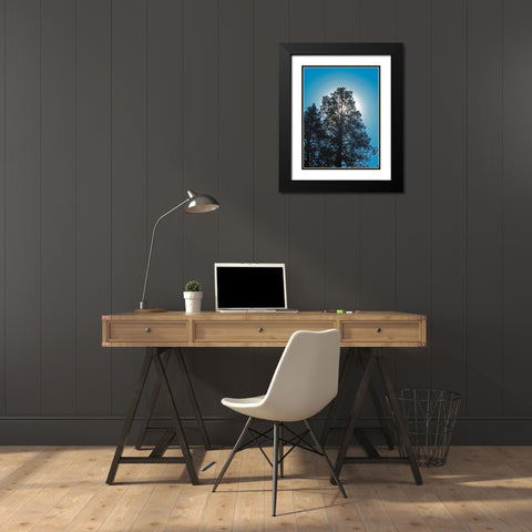 Tree 2 Black Modern Wood Framed Art Print with Double Matting by Popcorn