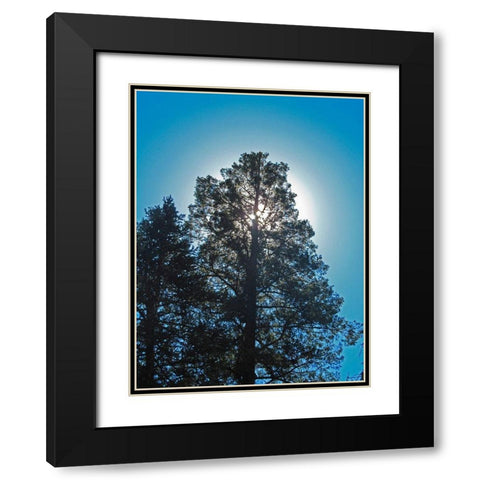 Tree 2 Black Modern Wood Framed Art Print with Double Matting by Popcorn