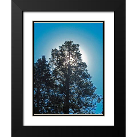 Tree 2 Black Modern Wood Framed Art Print with Double Matting by Popcorn