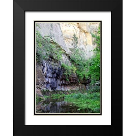 Oak Creek Canyon III Black Modern Wood Framed Art Print with Double Matting by Popcorn