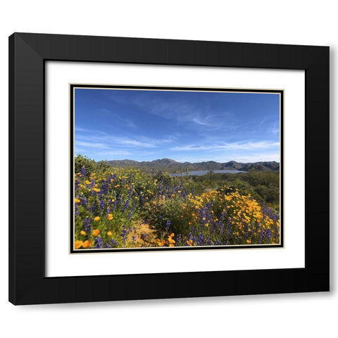 Wildflowers XXV Black Modern Wood Framed Art Print with Double Matting by Popcorn