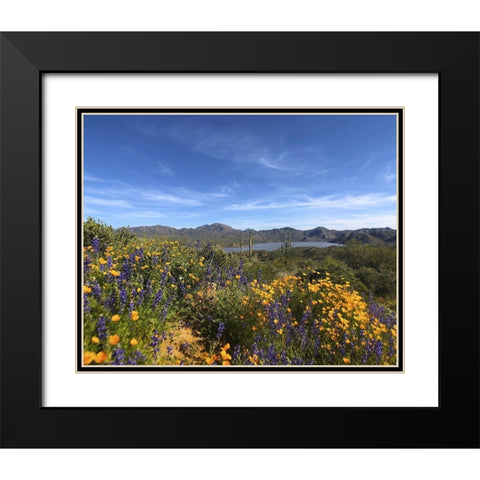 Wildflowers XXV Black Modern Wood Framed Art Print with Double Matting by Popcorn