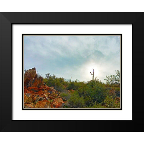 Desert Scape 14 Black Modern Wood Framed Art Print with Double Matting by Tenoever, William