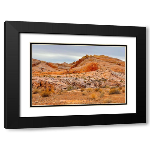 ValleyOfFire:BigHornSheep2 Black Modern Wood Framed Art Print with Double Matting by Tenoever, William