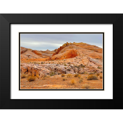 ValleyOfFire:BigHornSheep2 Black Modern Wood Framed Art Print with Double Matting by Tenoever, William