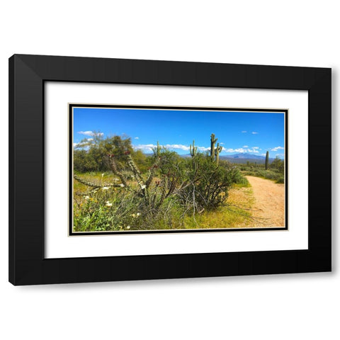 FourPeaks Black Modern Wood Framed Art Print with Double Matting by Tenoever, William