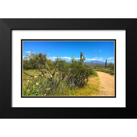 FourPeaks Black Modern Wood Framed Art Print with Double Matting by Tenoever, William