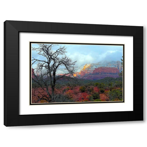 SedonaInWinter1 Black Modern Wood Framed Art Print with Double Matting by Tenoever, William