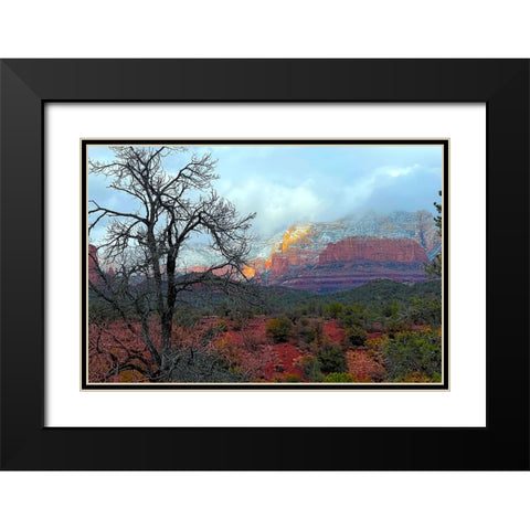 SedonaInWinter1 Black Modern Wood Framed Art Print with Double Matting by Tenoever, William