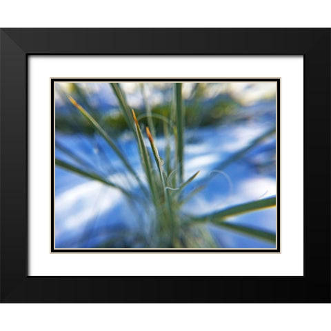 Snow in the Desert Black Modern Wood Framed Art Print with Double Matting by Popcorn