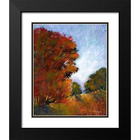 Falls Romance I Black Modern Wood Framed Art Print with Double Matting by Tienhaara, Michael