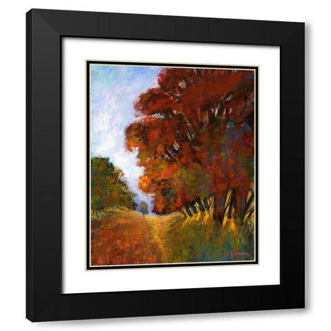 Falls Romance II Black Modern Wood Framed Art Print with Double Matting by Tienhaara, Michael