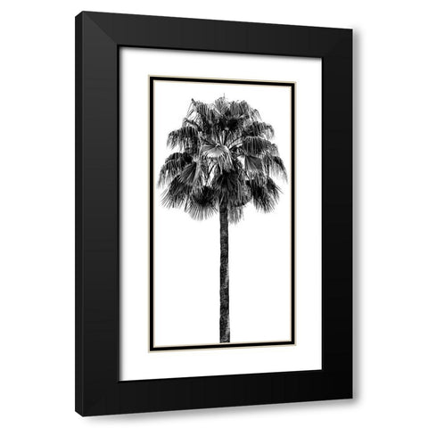 Palm Tree IV Black Modern Wood Framed Art Print with Double Matting by Blake, Madeline
