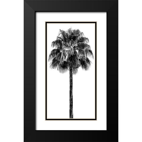 Palm Tree IV Black Modern Wood Framed Art Print with Double Matting by Blake, Madeline