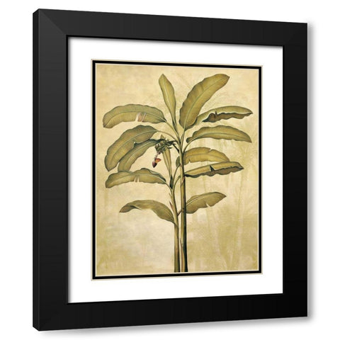 Palms of the Tropics II Black Modern Wood Framed Art Print with Double Matting by Deveraux, Jill