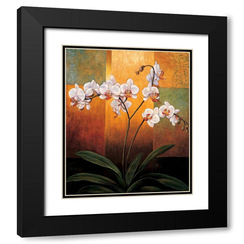 Orchids Black Modern Wood Framed Art Print with Double Matting by Deveraux, Jill