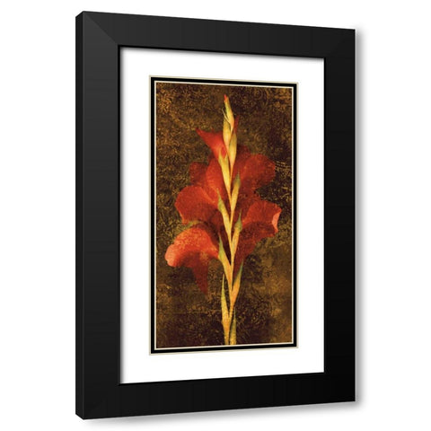Gladiola Black Modern Wood Framed Art Print with Double Matting by Seba, John