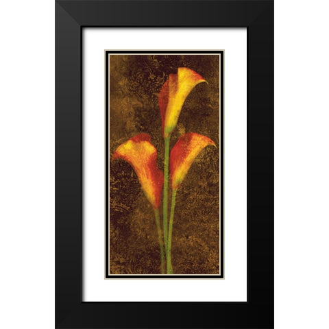 Callas Black Modern Wood Framed Art Print with Double Matting by Seba, John