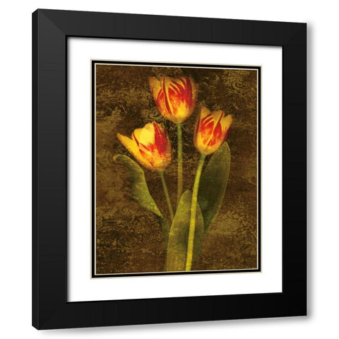 Three Tulips Black Modern Wood Framed Art Print with Double Matting by Seba, John