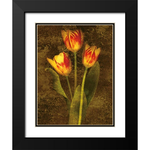 Three Tulips Black Modern Wood Framed Art Print with Double Matting by Seba, John