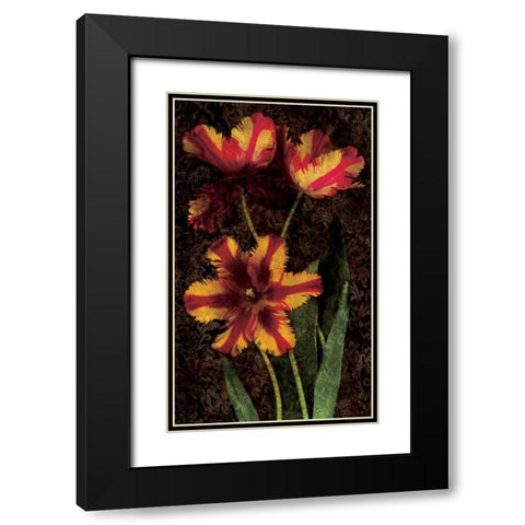 Decorative Tulips I Black Modern Wood Framed Art Print with Double Matting by Seba, John