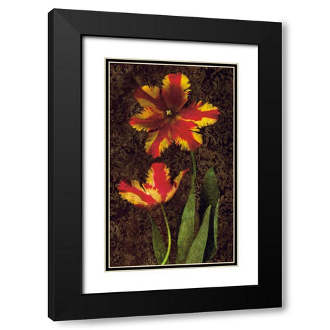 Decorative Tulips II Black Modern Wood Framed Art Print with Double Matting by Seba, John