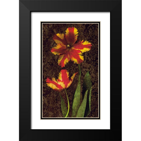 Decorative Tulips II Black Modern Wood Framed Art Print with Double Matting by Seba, John