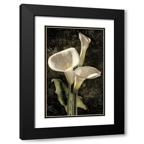 Callas I Black Modern Wood Framed Art Print with Double Matting by Seba, John