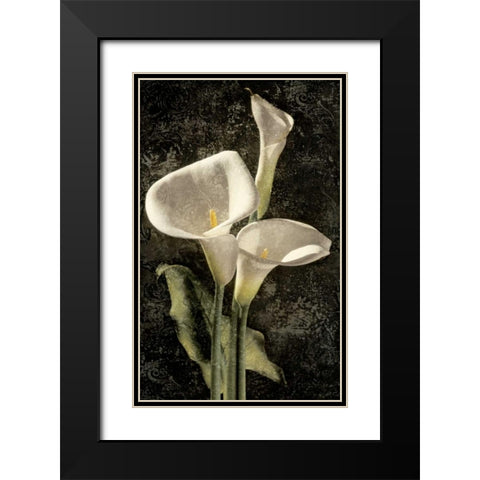 Callas I Black Modern Wood Framed Art Print with Double Matting by Seba, John