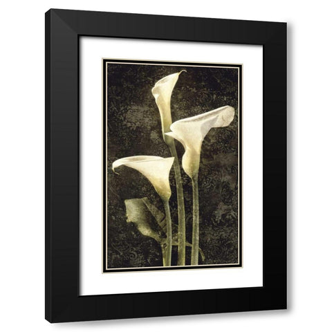 Callas II Black Modern Wood Framed Art Print with Double Matting by Seba, John