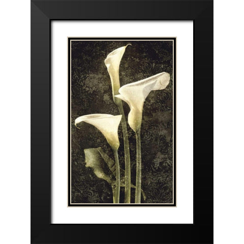 Callas II Black Modern Wood Framed Art Print with Double Matting by Seba, John